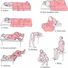 Prone Bone